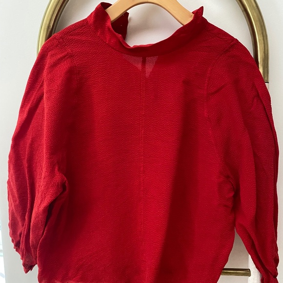 Everlane Long Sleeves Red Cupro Textured Blouse Top Mockneck Size 10 - Picture 1 of 6